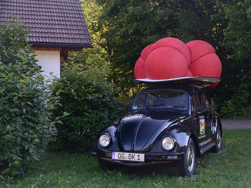 schwarz159.jpg - Black Forest Open Air Museum (Vogtsbauernhof)