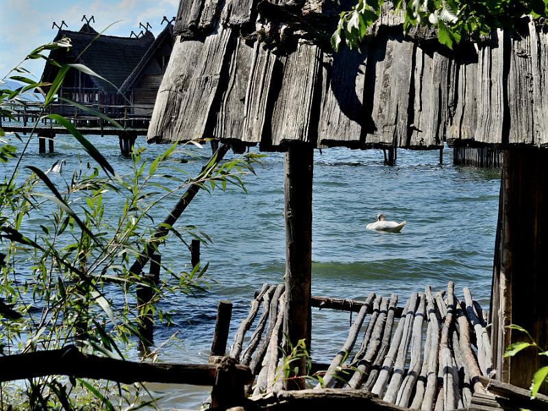 schwarz210.jpg - "Stilt house museum" on Bodensee