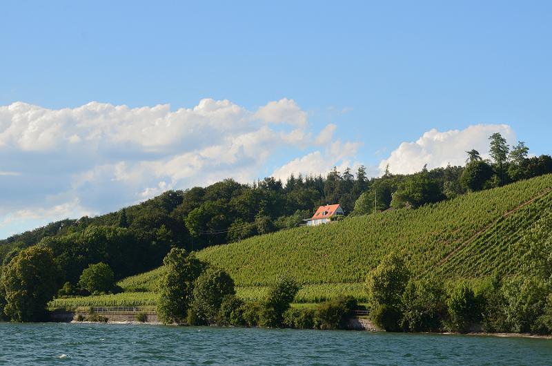 schwarz221.jpg - Bodensee shore