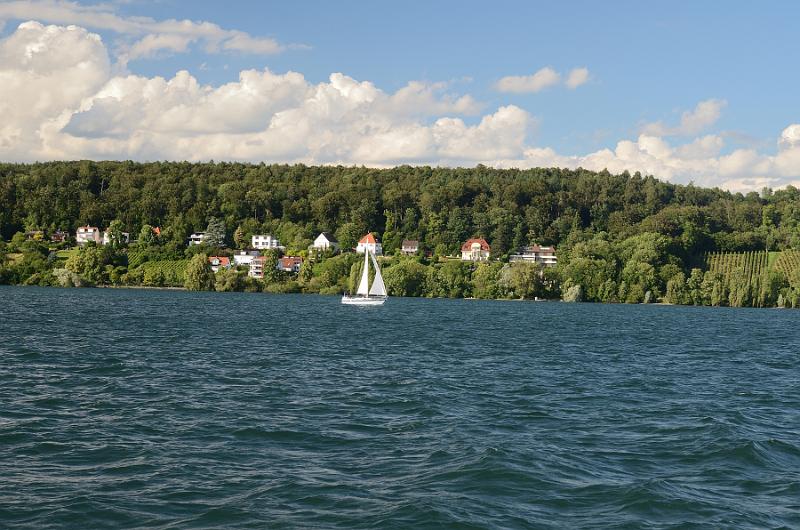 schwarz222.jpg - Bodensee shore