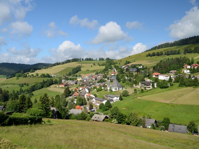 schwarz243.jpg -  Todtnauberg from our apartments 