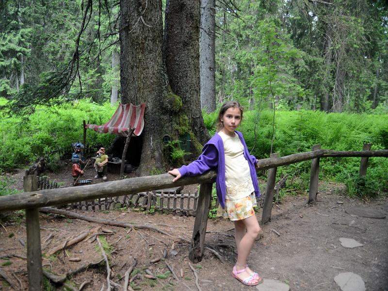 schwarz245.jpg - Nature and adventure trail in the forest near Feldberg Mountain