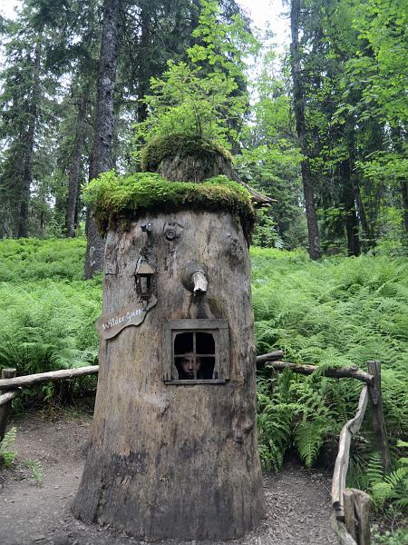 schwarz246.jpg - Nature and adventure trail in the forest near Feldberg Mountain