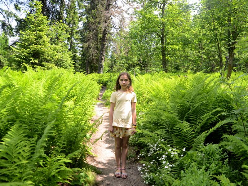 schwarz248.jpg - Nature and adventure trail in the forest near Feldberg Mountain