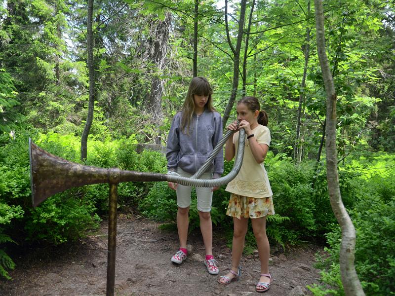 schwarz249.jpg - Nature and adventure trail in the forest near Feldberg Mountain