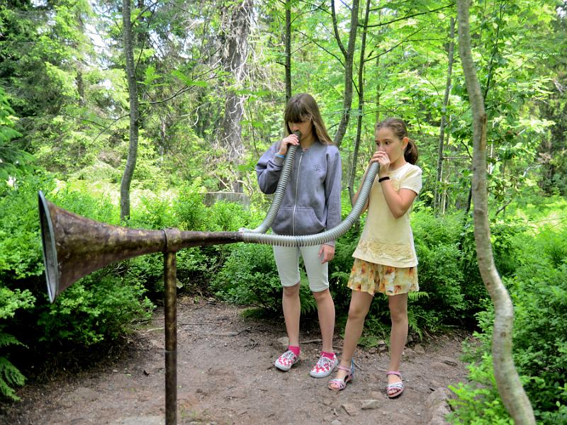 schwarz250.jpg - Nature and adventure trail in the forest near Feldberg Mountain