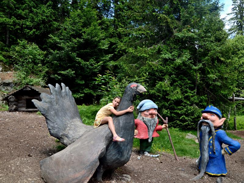 schwarz254.jpg - Nature and adventure trail in the forest near Feldberg Mountain