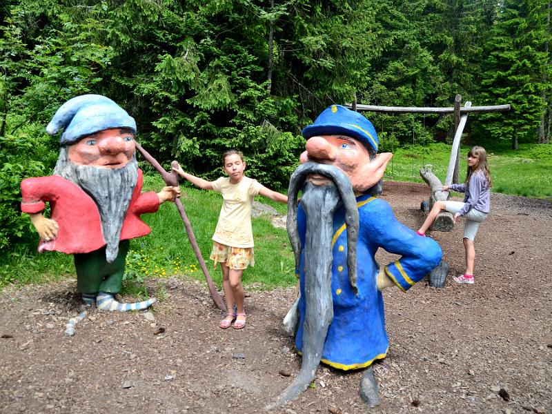 schwarz255.jpg - Nature and adventure trail in the forest near Feldberg Mountain