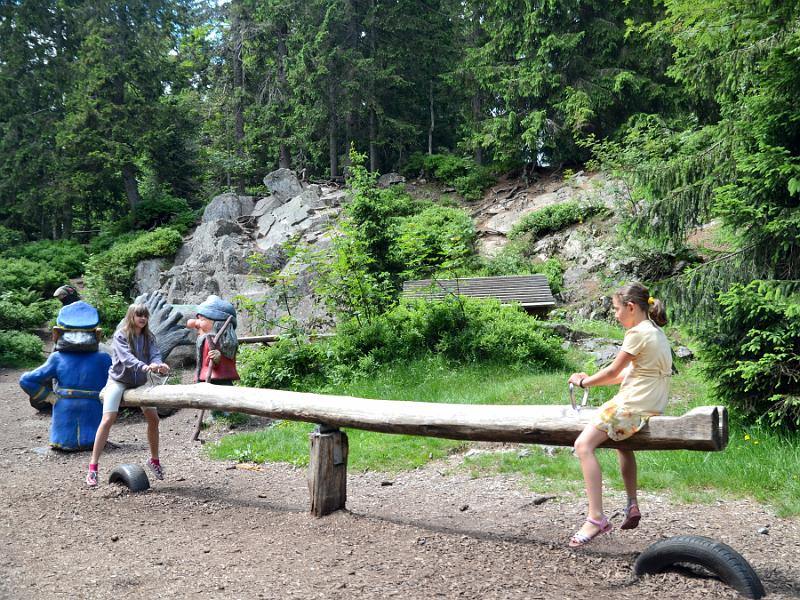 schwarz256.jpg - Nature and adventure trail in the forest near Feldberg Mountain