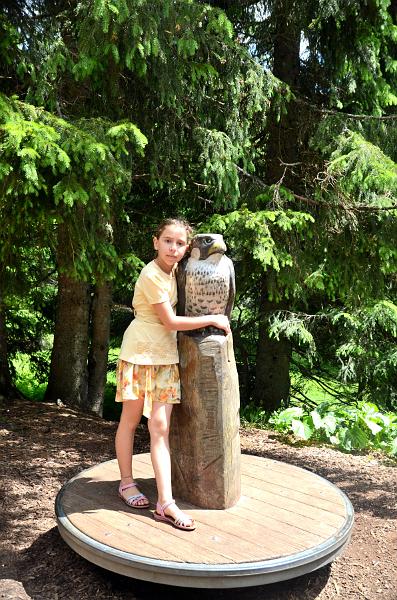 schwarz257.jpg - Nature and adventure trail in the forest near Feldberg Mountain