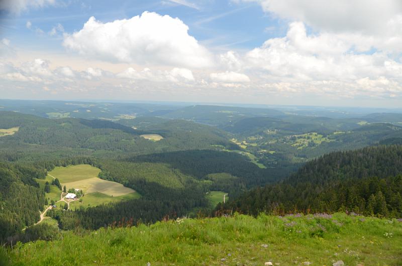 schwarz260.jpg - View from the Feldberg Mountain