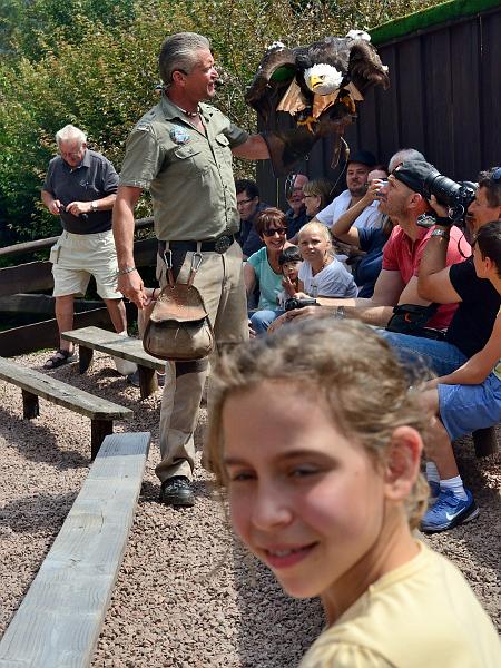 schwarz265.jpg - Bird of prey show in Vogelpark