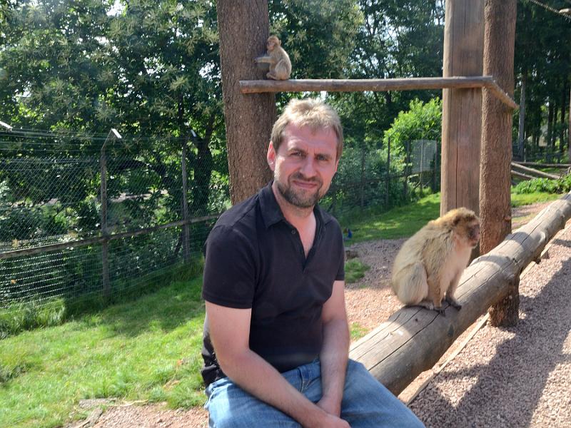 schwarz274.jpg - Feeding of the Barbary Macaques in Vogelpark