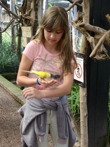 schwarz284.jpg - Feeding of the parrots in Vogelpark