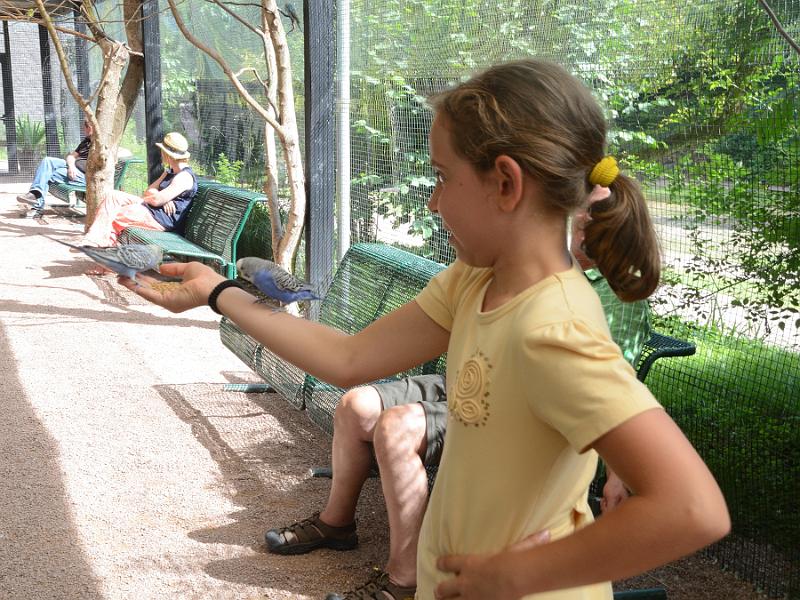 schwarz286.jpg - Feeding of the parrots in Vogelpark