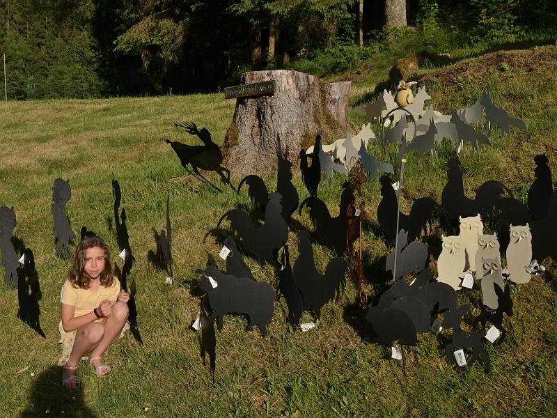 schwarz296.jpg - Restaurant Tannenmuehle in Grafenhausen