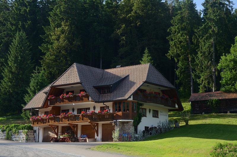 schwarz297.jpg - Restaurant Tannenmuehle in Grafenhausen