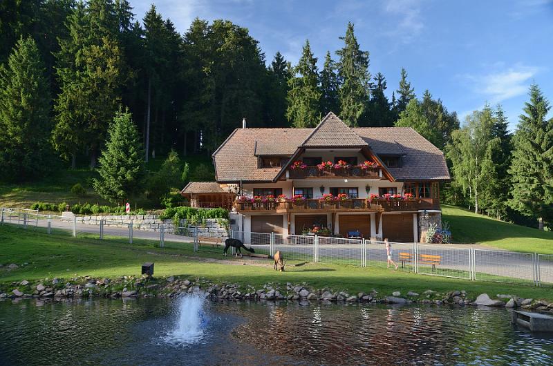 schwarz299.jpg - Restaurant Tannenmuehle in Grafenhausen