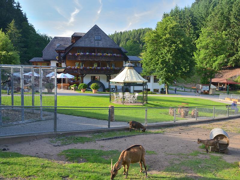 schwarz300.jpg - Restaurant Tannenmuehle in Grafenhausen