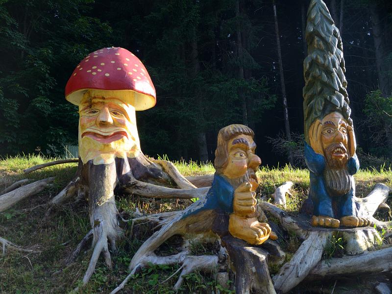 schwarz304.jpg - Restaurant Tannenmuehle in Grafenhausen