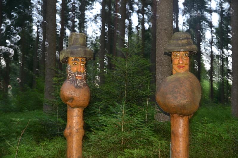 schwarz323.jpg - Nature trail in Grafenhausen 