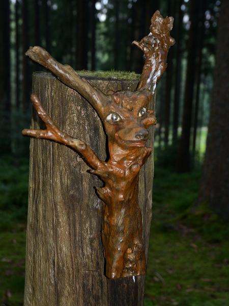 schwarz324.jpg - Nature trail in Grafenhausen 