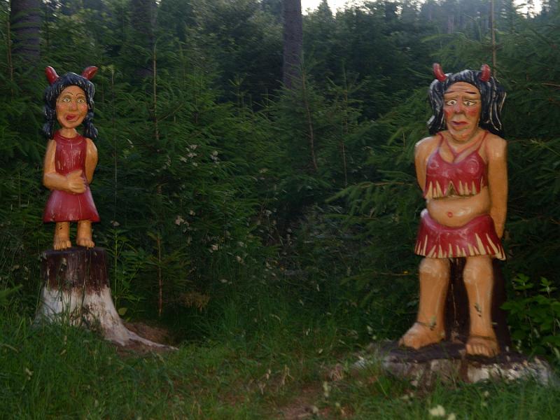 schwarz325.jpg - Nature trail in Grafenhausen 