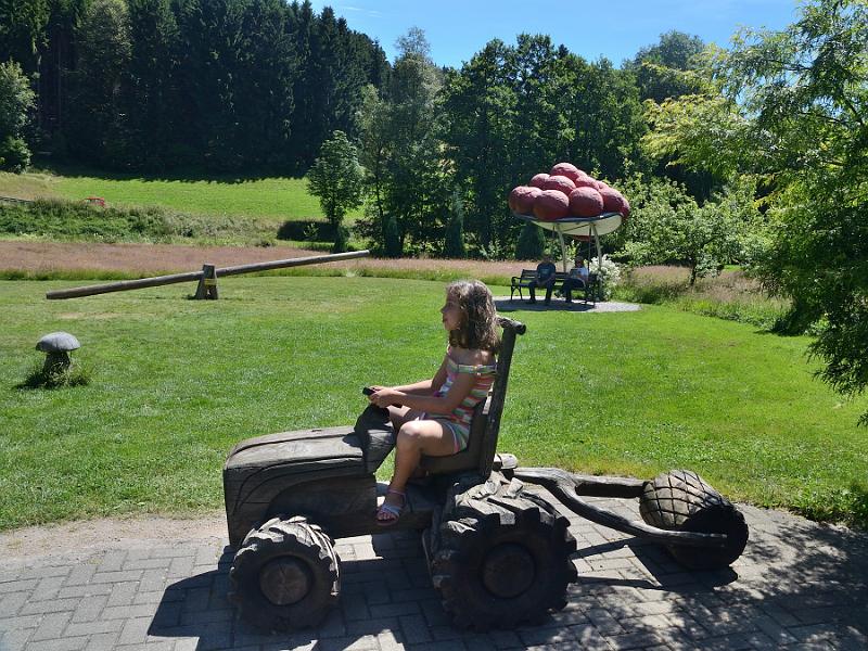 schwarz354.jpg - Park near Cuckoo clocks in Schonach