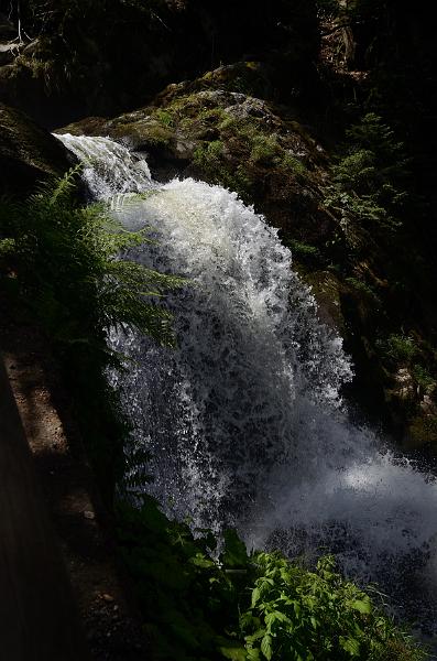 schwarz380.jpg - Triberg waterfalls