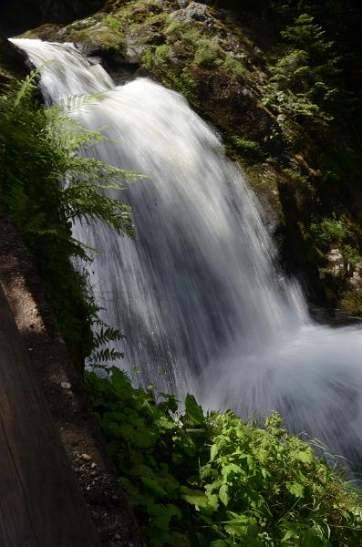 schwarz381.jpg - Triberg waterfalls