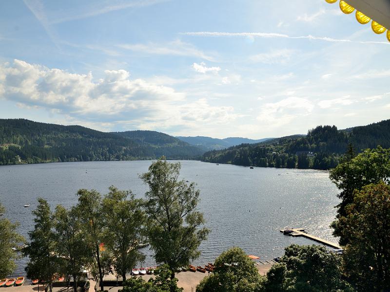 schwarz389.jpg - Lake Titisee from the Ferris Wheel 