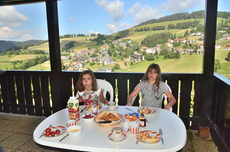 schwarz417.jpg - Guesthouse Weilerhof in Todtnauberg