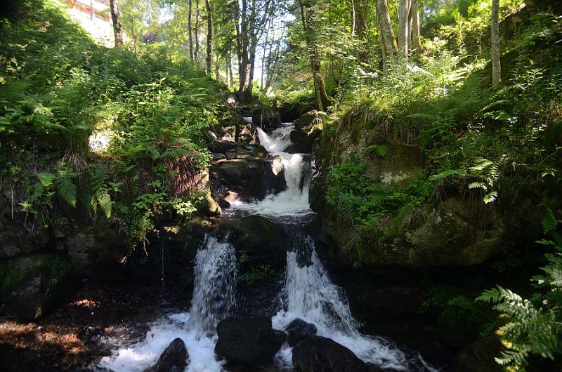 schwarz435.jpg - Todtnau waterfalls