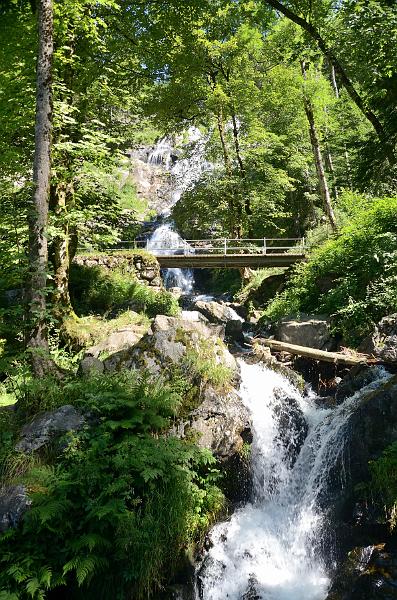 schwarz446.jpg - Todtnau waterfalls