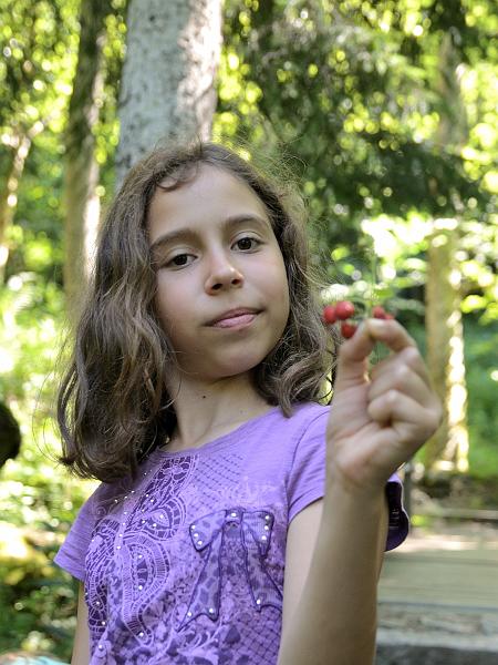 schwarz449.jpg - Todtnau waterfalls