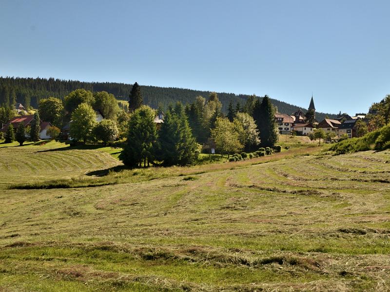 schwarz467.jpg - Trip on steam train Lake Schluchsee - Lake Titisee
