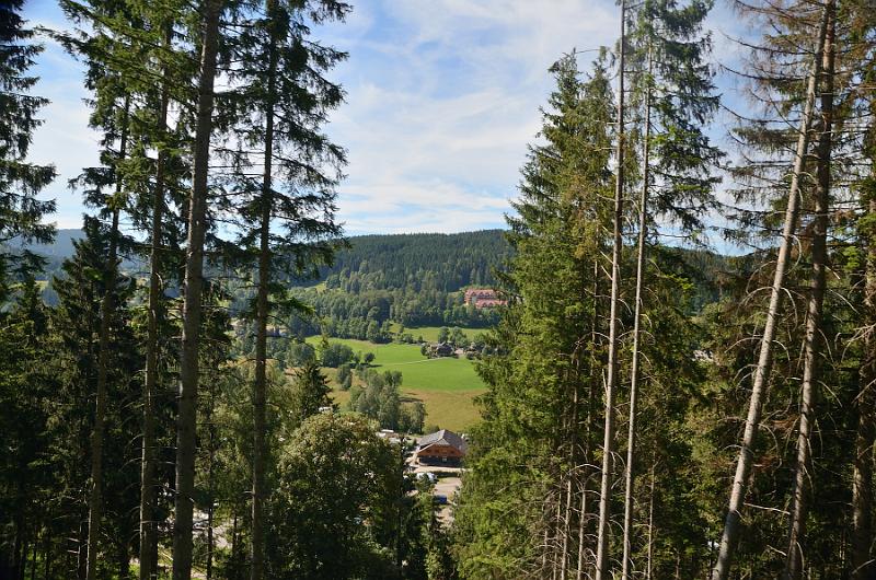 schwarz468.jpg - Trip on steam train Lake Schluchsee - Lake Titisee