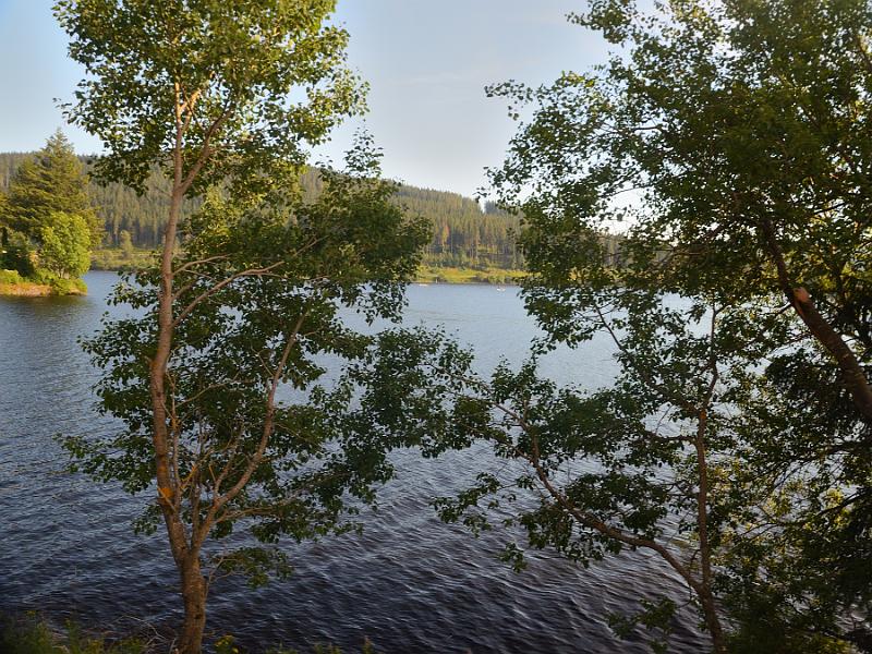 schwarz475.jpg - Trip on steam train Lake Schluchsee - Lake Titisee