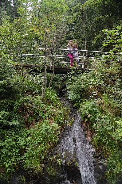 schwarz534.jpg - Fahler Waterfall