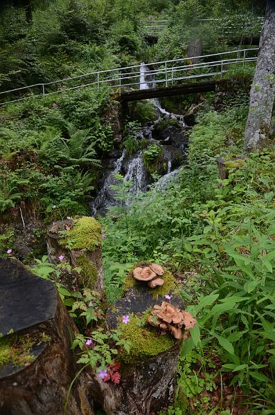 schwarz535.jpg - Fahler Waterfall