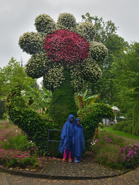 schwarz542.jpg - Gardens on Island Mainau