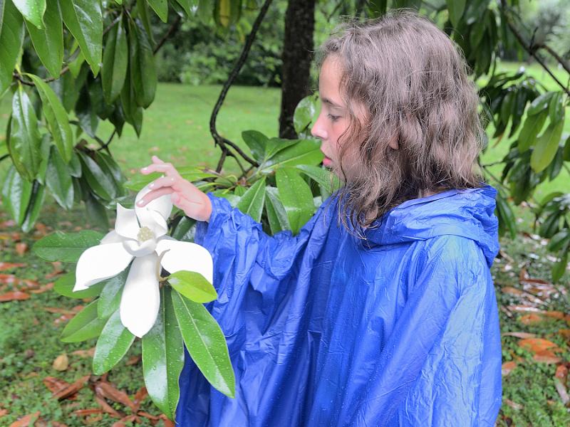 schwarz543.jpg - Gardens on Island Mainau