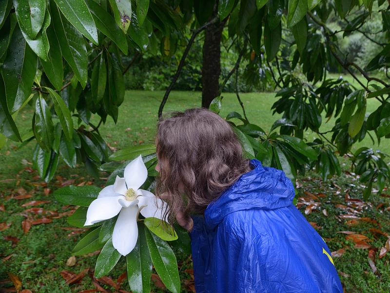 schwarz544.jpg - Gardens on Island Mainau