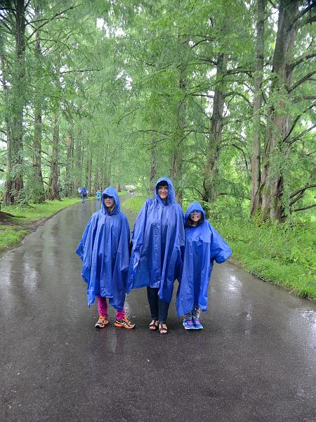 schwarz545.jpg - Gardens on Island Mainau