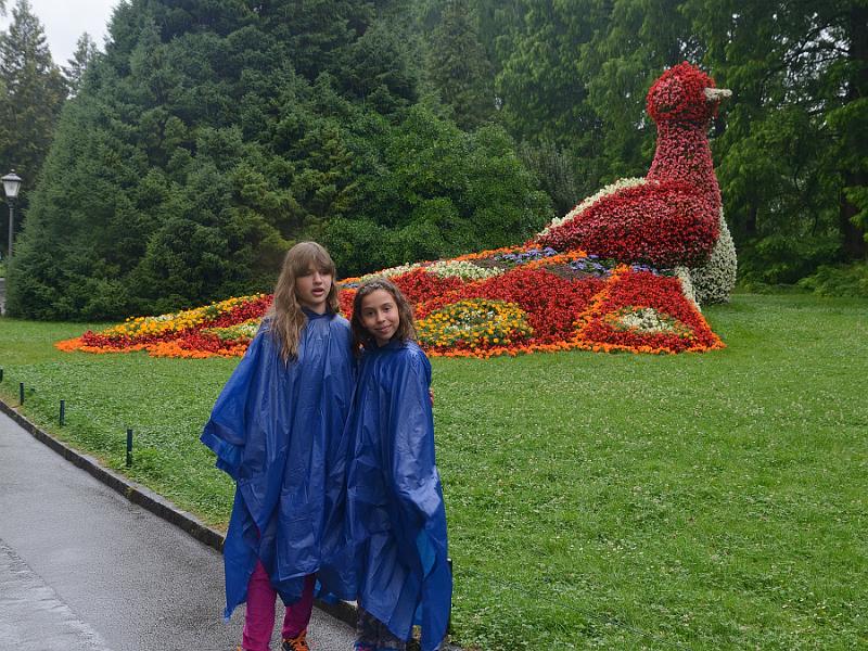 schwarz547.jpg - Gardens on Island Mainau