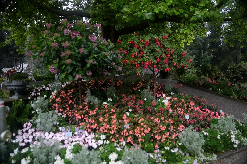 schwarz559.jpg - Gardens on Island Mainau