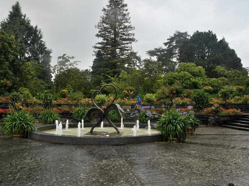 schwarz560.jpg - Gardens on Island Mainau