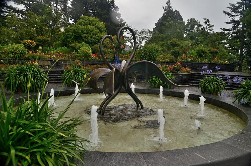 schwarz561.jpg - Gardens on Island Mainau