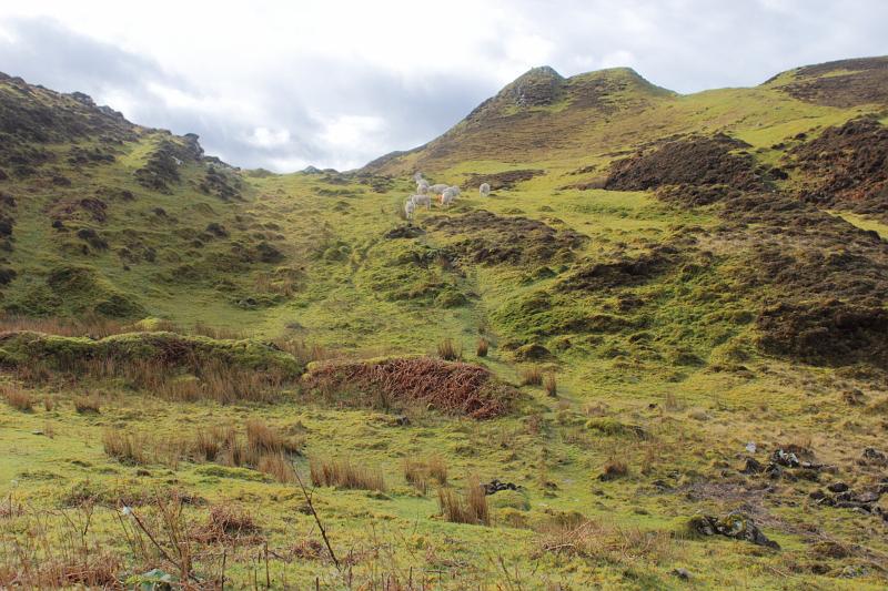 scotland153.JPG -  Isle of Skye