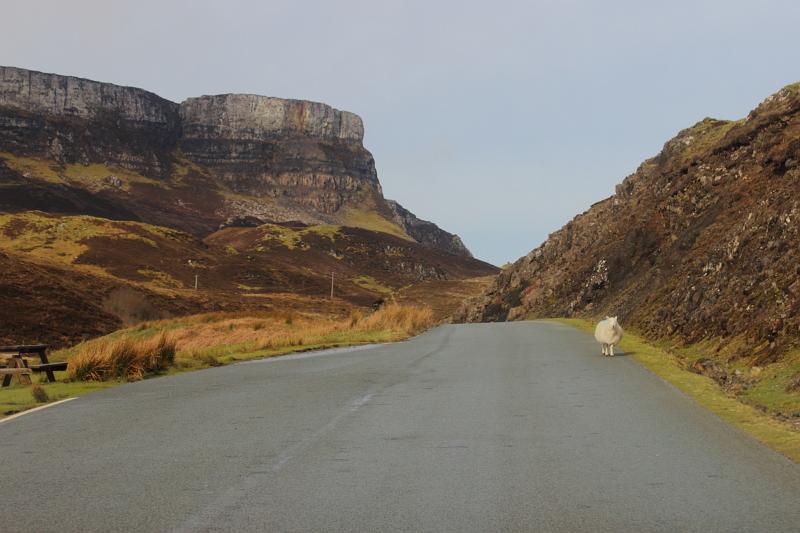 scotland154.JPG -  Isle of Skye